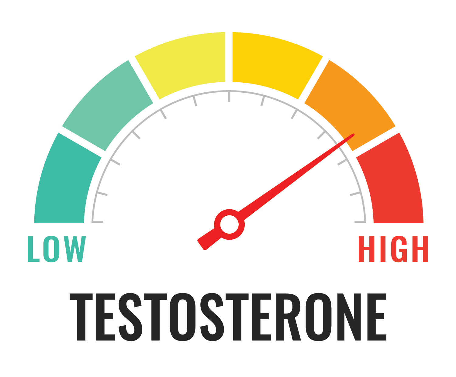 MedAssistant can provide a blood test to check your Testosterone Levels