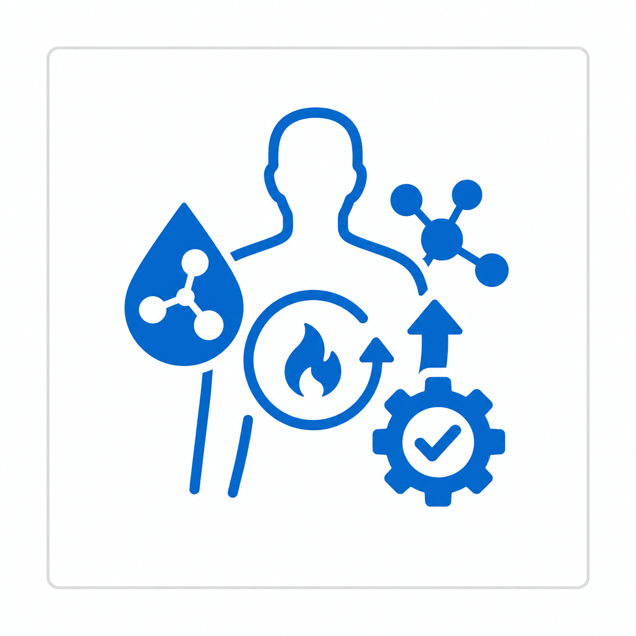 Hormonal and Metabolic Health Optimisation at MedAssistant Glasgow
